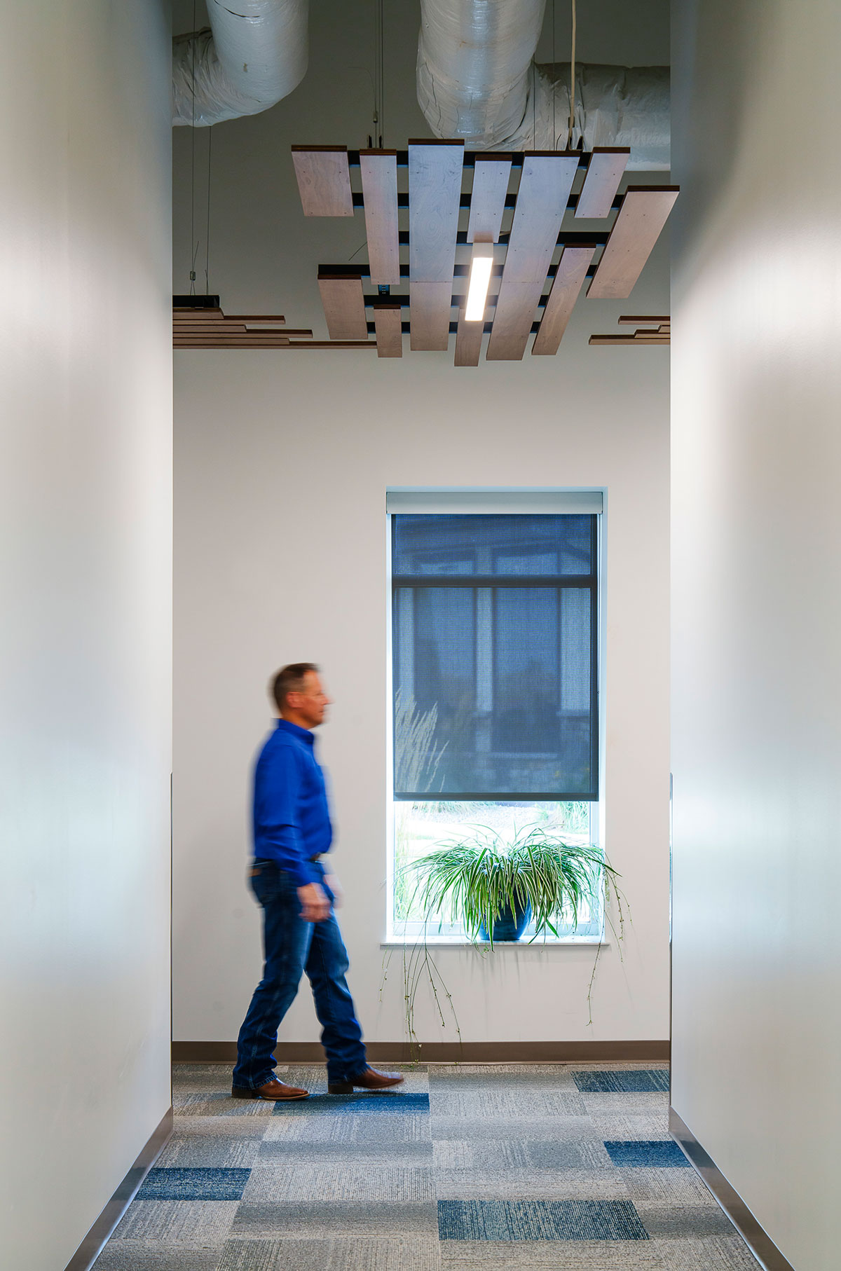 healthcare Architecture