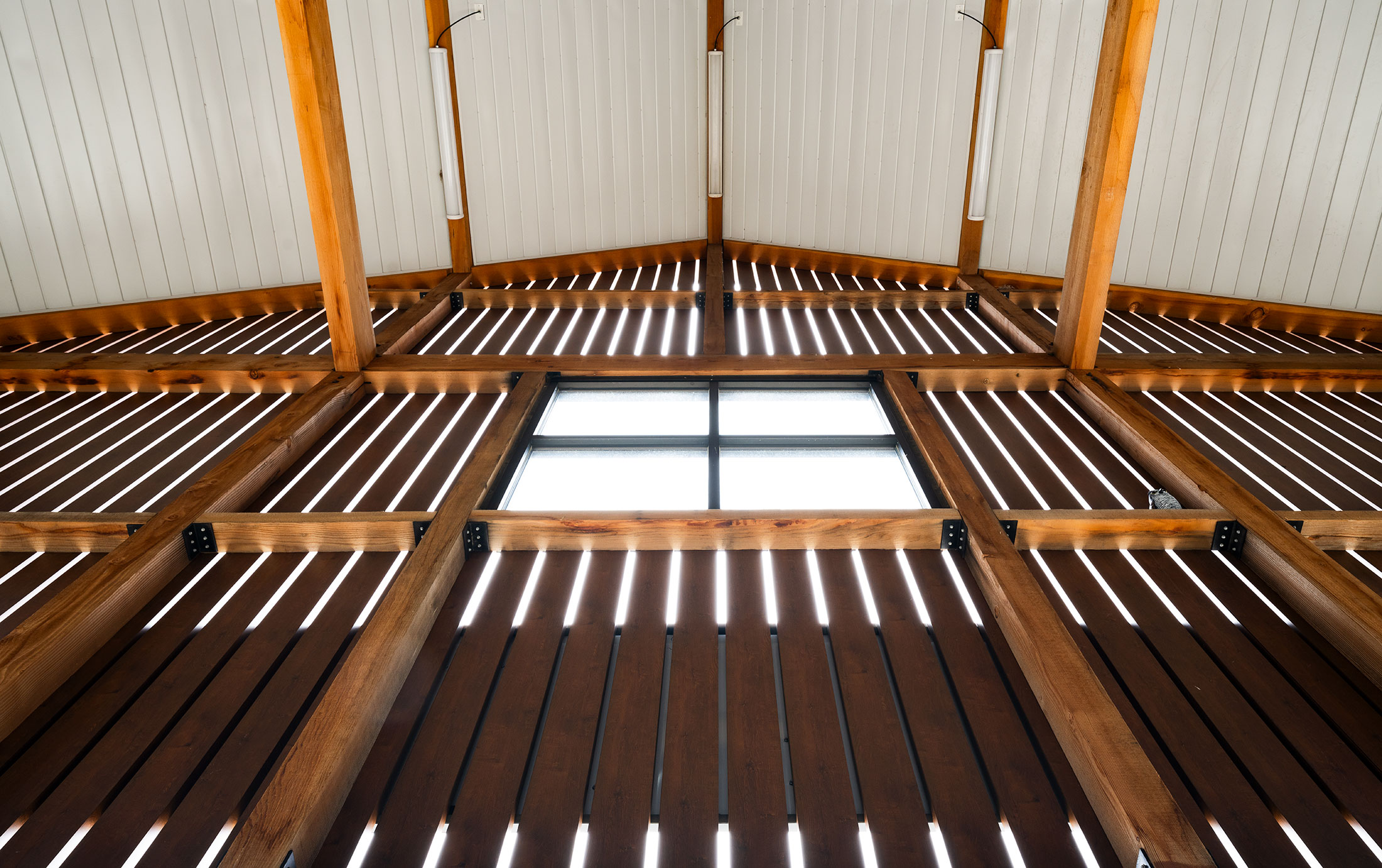 municipal Architecture